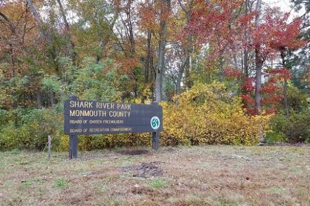 4.5 mi. hike Shark River Park
